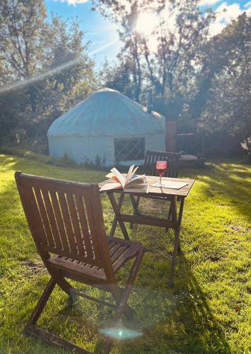 Ceridwen Glamping, double decker bus and Yurts