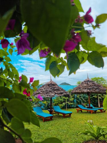 Pineapple House, Nungwi