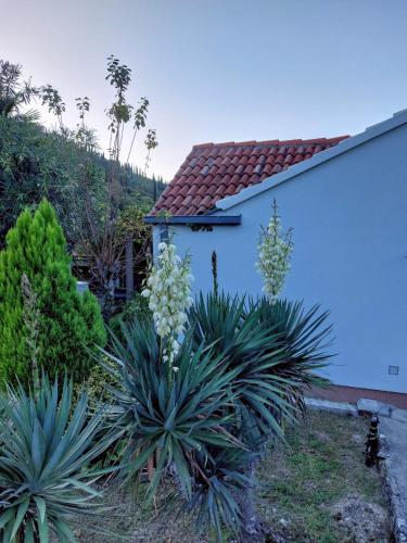 Holiday Home B&D - image 12