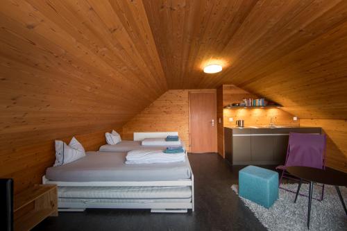 UnderDach Holiday House - Andermatt