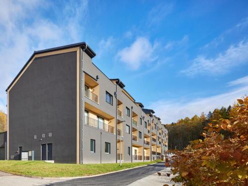 Studio Černý Důl-1 by Interhome (Studio Cerny Dul-1 by Interhome) in 赛尔妮杜尔