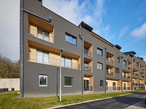 Apartment Černý Důl-3 by Interhome (Apartment Cerny Dul-3 by Interhome) in Cerny Dul