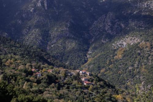 Taygeti's mountain lodge