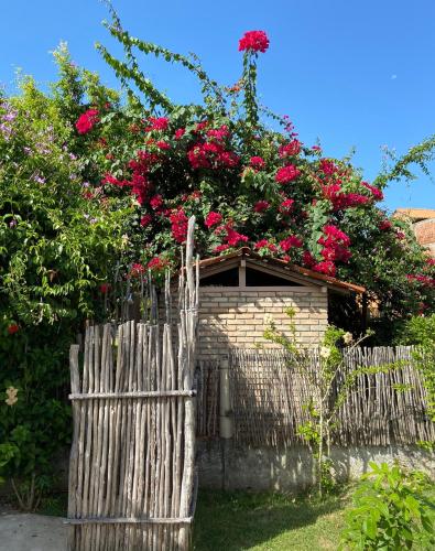 Pousada Sitio Araca – São Miguel dos Milagres