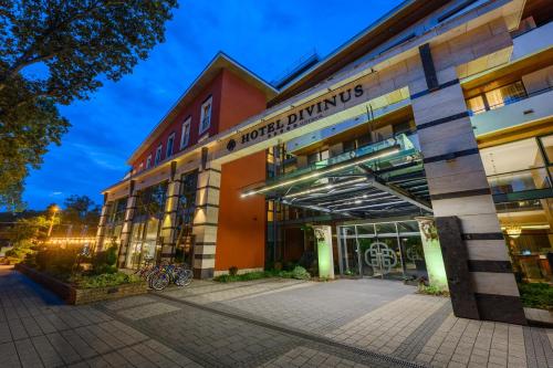 Hotel Divinus