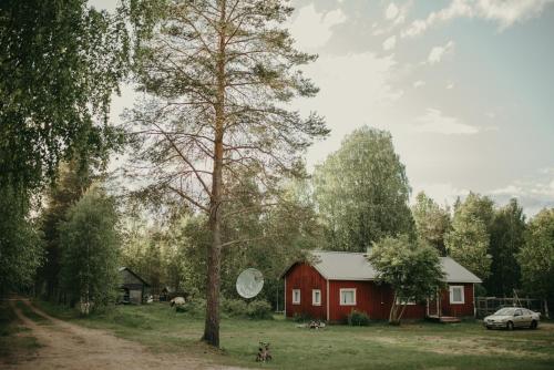 Heidin Mummola Farm