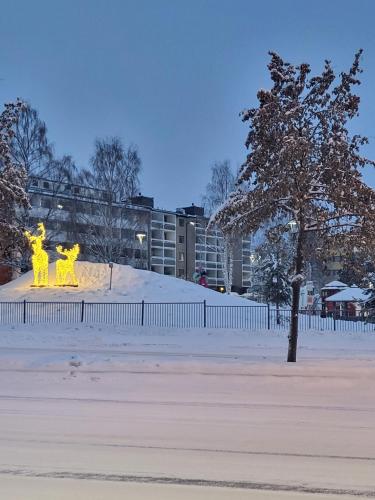 Arctic Apartment with own Sauna - Tap to explore photos