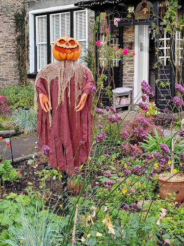 Puddle Duck Lodge – Adults Only - image 13