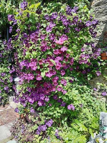 Puddle Duck Lodge – Adults Only - image 12