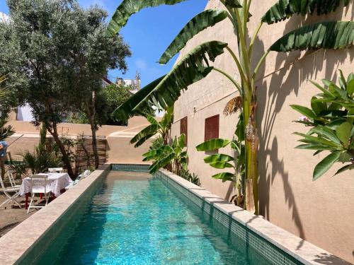 Junqueira Gardens - Casa Antiga Jardim e Piscina, Lisbon (photo 9)