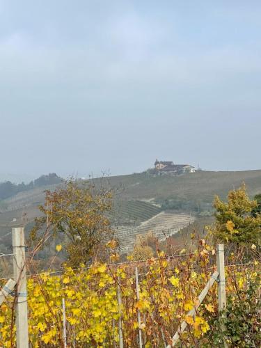 Cascina Boschetti, Barolo (foto 7)