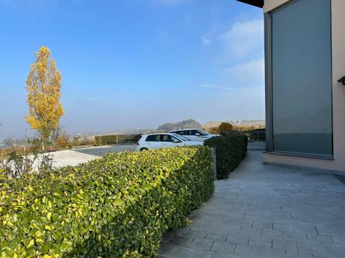 Cascina Boschetti, Barolo (foto 8)