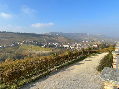 Cascina Boschetti, Barolo (foto 9)