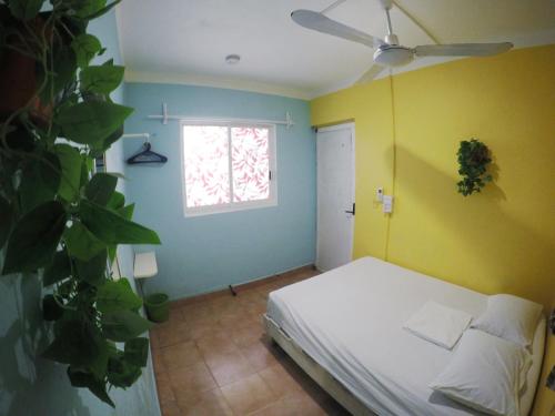 Tres Mundos Hostel – Playa del Carmen, TX