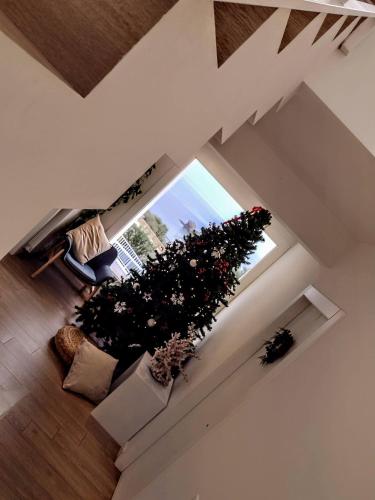  Zabbàra B&B in Terrasini