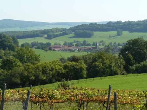 Cosy country. Access to Burgundy/Lorraine/Alsace