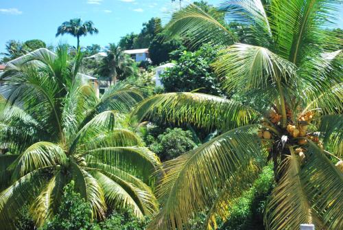 La Dicossine - La Guadeloupe au naturel ;) in Les Abymes