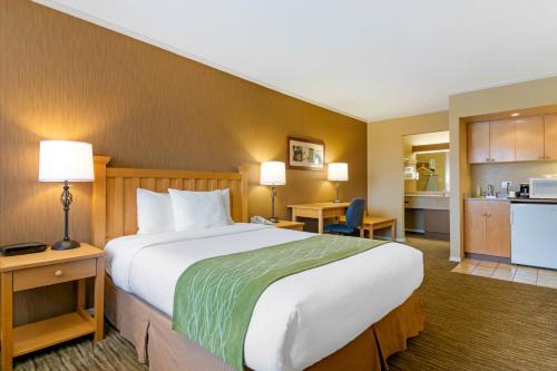 Econo Lodge Inn & Suites near Lion's Gate Bridge