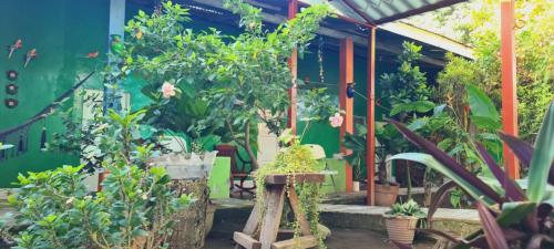Сад, Hospedaje y Restaurante la cocina de Mami in Мойогальпа