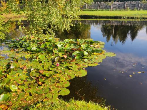 Viesu un ciemiņu brīvdienu māja Villa VĒJROZES