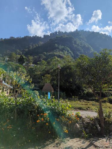 View, Roshani Guest House and Restaurant Ngadi Bazar in Gorkha