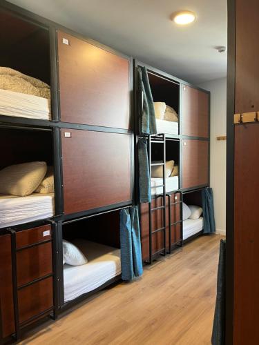 Bunk Bed in Mixed Dormitory Room