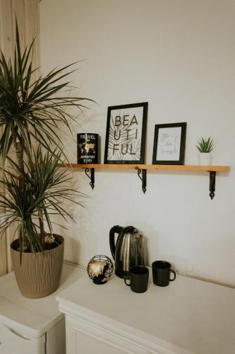廚房, Sauna apartment / Pirts apartamenti in 塔爾西