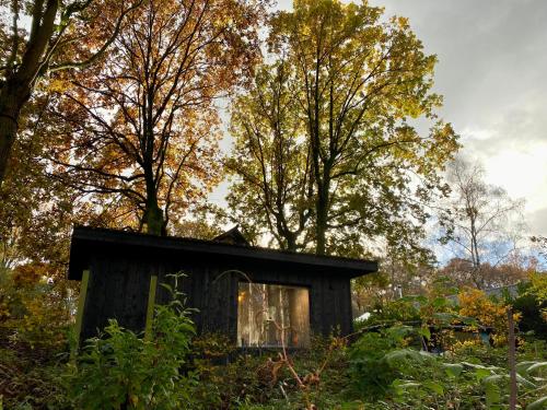 Kabana - eco forest suite - Chambre d'hôtes - Wingene