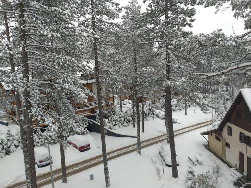 Apartman Mila 1 in Golija