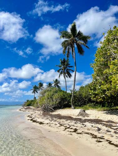plage, Appart au Helleux in Berard