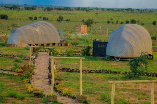 Amanya 2-Bed Lioness Family Tent in Amboseli