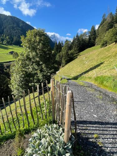 Alpenchalet Piz Hüsli Alpenchalet Piz Hüsli