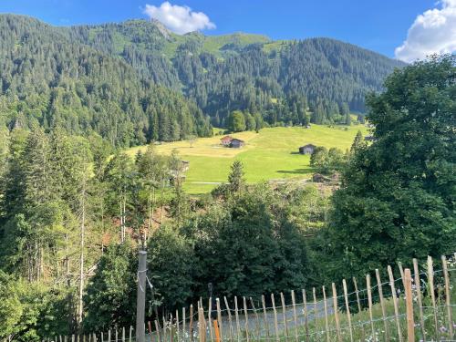 Alpenchalet Piz Hüsli Alpenchalet Piz Hüsli