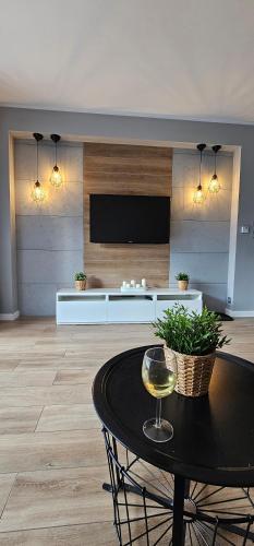 VibeApartments Szklarska Poręba Basen Sauny Centrum, Szklarska Poręba (foto 5)