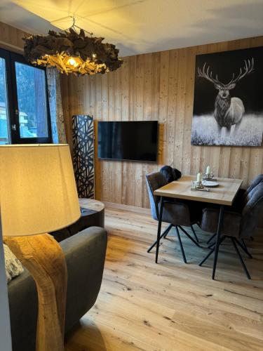 Cocon au cœur de Chamonix avec parking gratuit 4