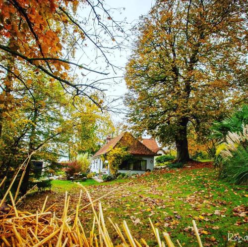 B&B Marenla - Le Clos de Marenla - Bed and Breakfast Marenla