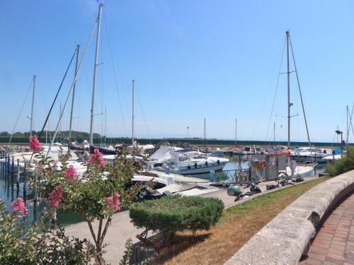 Stiria - image 5