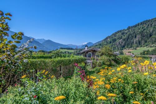 Rieplhof - Relaxing farm stay with breakfast and mountain view, Vipiteno (fotografie 9)