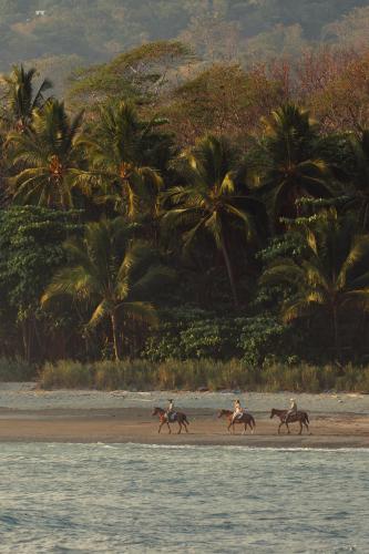 Hotel Santa Teresa by the Beach