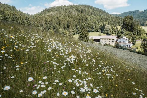 Biohof Teufel