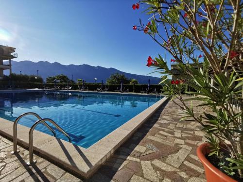 Tignale - Appartement BELVEDERE ALLEGRA 101 - Ferienwohnung am Gardasee mieten in Tignale
