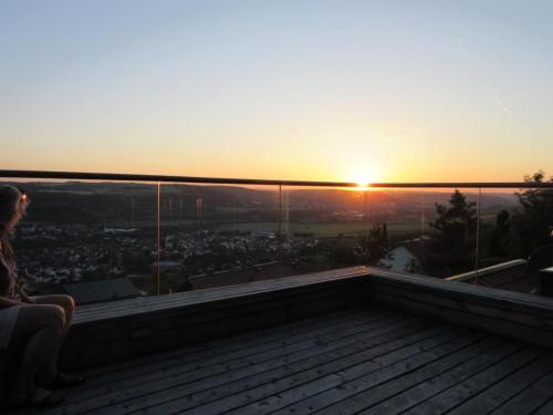 Ferienhaus hoch über dem Taubertal mit fantastischem Weitblick, Dachterrasse, 2000m2 großem Grundstück und Kamin