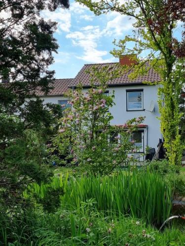 Ferienhaus Am Zollhaus in Lubbow
