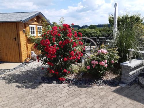 NEU Apartment Hanka in Panschwitz-Kuckau