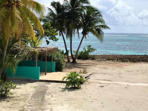 Appartement d'une chambre a Sainte Anne a 100 m de la plage avec vue sur la mer jardin clos et wifi - Location saisonnière - Sainte-Anne