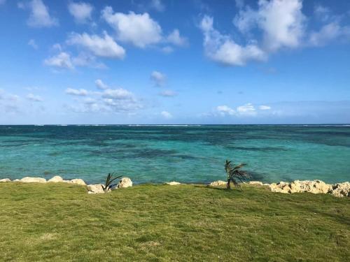 Appartement d'une chambre a Sainte Anne a 100 m de la plage avec vue sur la mer piscine privee et jardin clos - Location saisonnière - Sainte-Anne