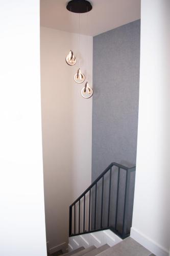 Luxury Cozy 2 BDR Downtown Apt.5 - image 14