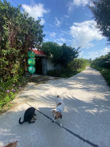 Laoxao Homestay, Hoi An (fotografie 10)