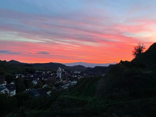 Weingut & Straußwirtschaft Vogel Weingut & Straußwirtschaft Vogel