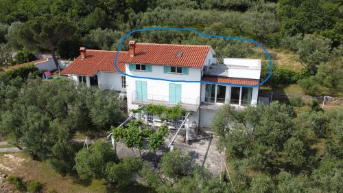 House among olive trees with a sea view 1 in Hrvatini